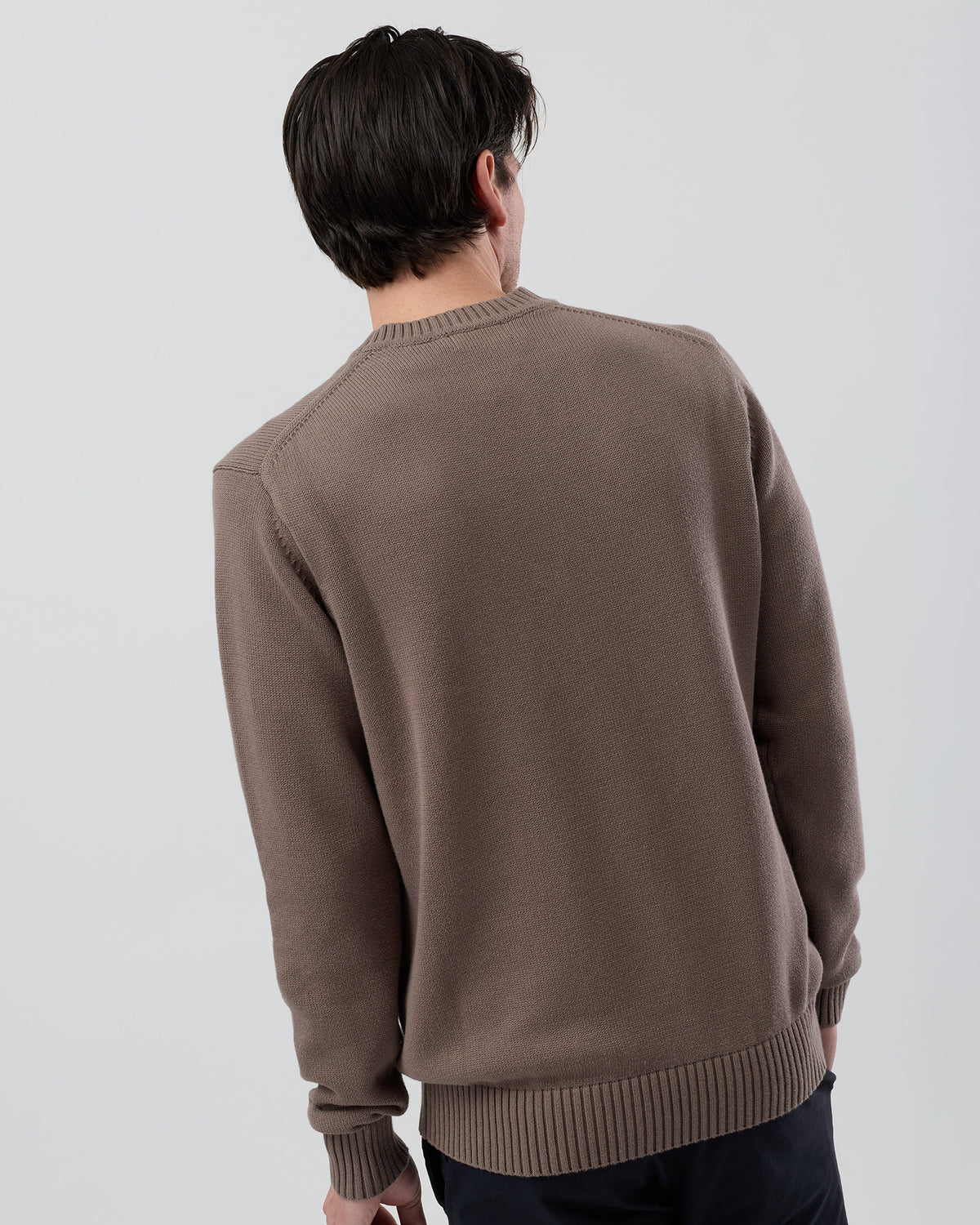 Rear view of the Wayver latte cotton crew neck jumper showing the timeless design and ribbed hem detail.