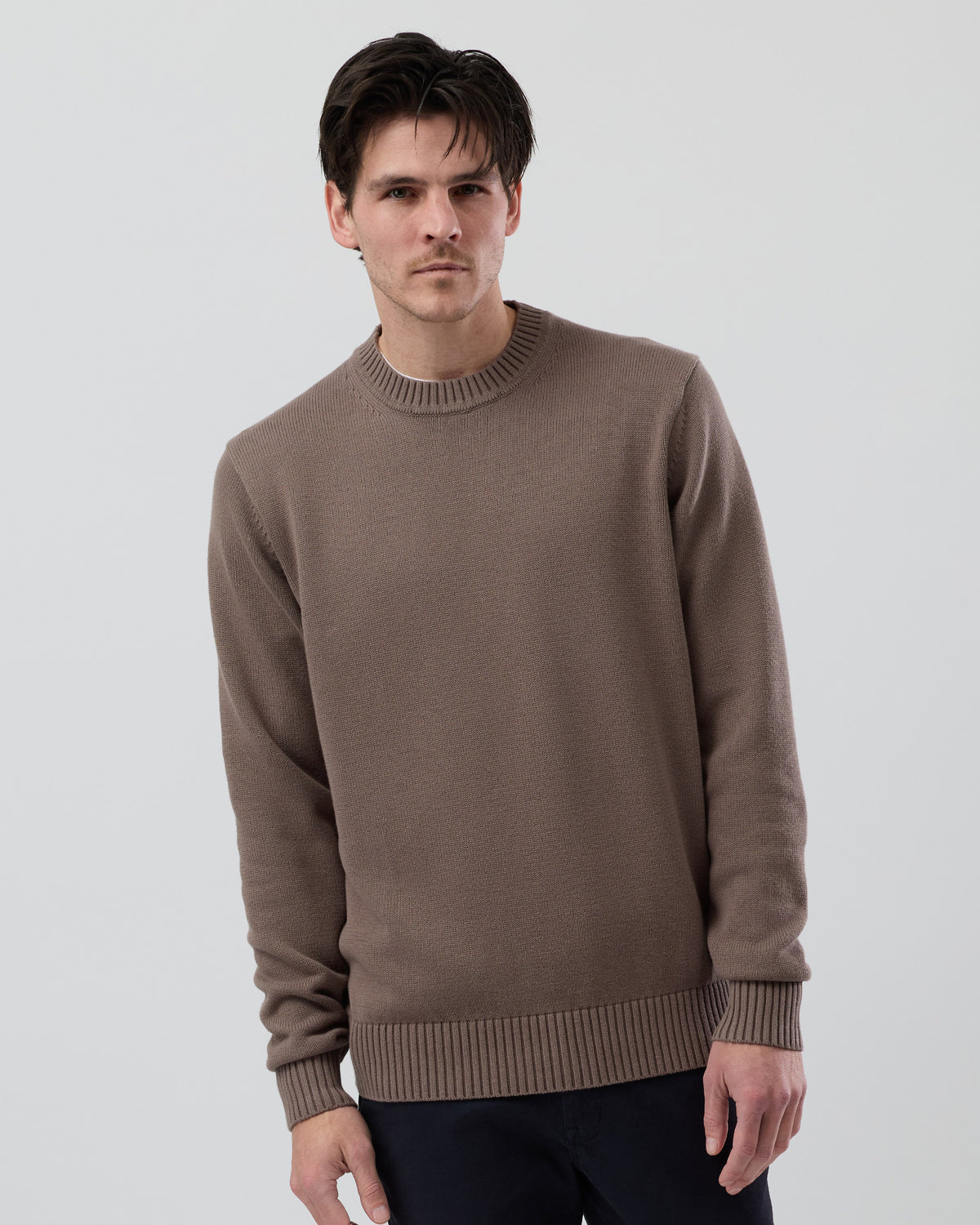 Male model wearing the Wayver Essential Cotton Crew Neck Knit in latte, front view showing the regular fit, slim sleeves and classic crew neckline.