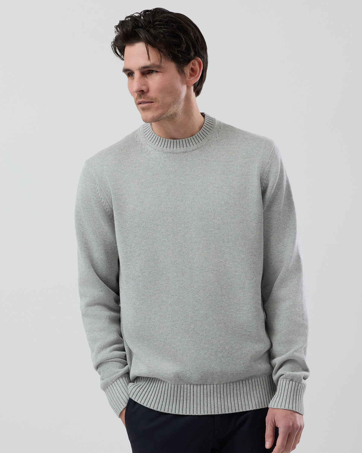 Male model wearing the Wayver Essential Cotton Crew Neck Knit in light grey, front view showing the clean crew neck design and regular fit.